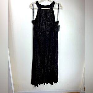 (T6) Alexa B Nites Black Sleeveless, stretchy, glittery dressopen front, Sz 16W